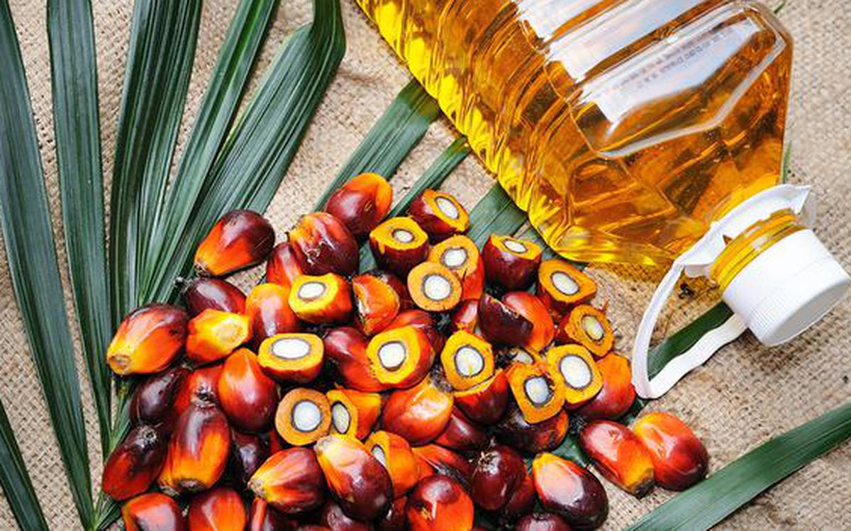palmoil