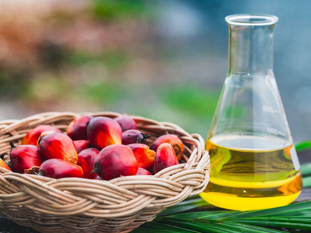 CRUDE PALM OLIEN (CPL)