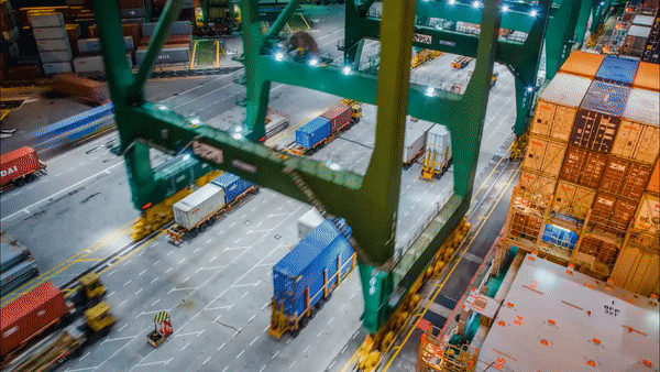 Cargo Movement - end to end logistics